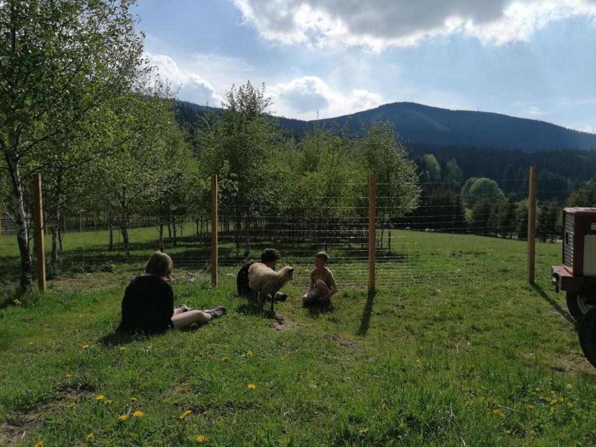 Gosciniec Janowa Gora - Agroturystyka Stronie Slaskie Exterior photo