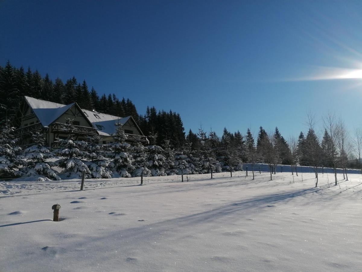 Gosciniec Janowa Gora - Agroturystyka Stronie Slaskie Exterior photo