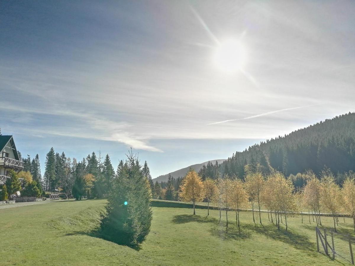 Gosciniec Janowa Gora - Agroturystyka Stronie Slaskie Exterior photo